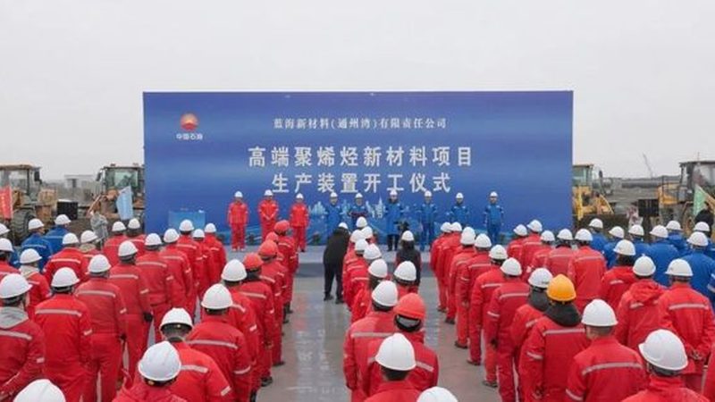 进口化工原料报价单怎么审核